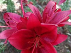 -长春公园(普阳街道)