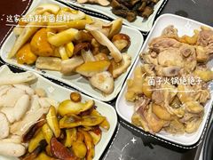 -菌之家·专业纯野生菌火锅·特色炒菌