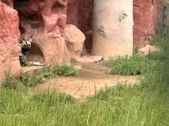 -鄂尔多斯野生动物园