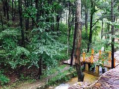 -洛阳白云山景区