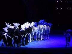 -珠海横琴长隆《卡卡虎奇遇记》