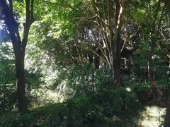-巴山一绝烤全羊(三圣乡刘家花园店)