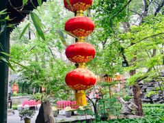 -白家大院·王府宫廷菜(苏州街店)