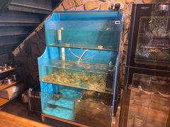 水产区-Thai Basil罗勒叶泰式餐厅(时代天街店)