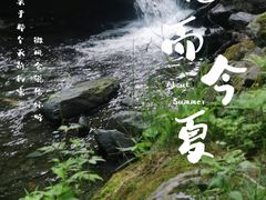 -凤凰山国家森林公园