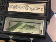 -Rabbit Cafe私房西餐甜点咖啡(栖霞路店)