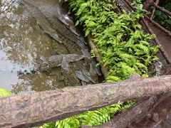-海南热带野生动植物园