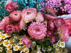 -爱尚幸福鲜花(上地实体店)