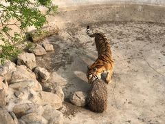 -石家庄市动物园