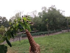 -石家庄市动物园