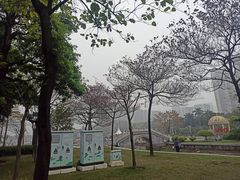 -文华公园(禅城区)