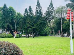 -荔湾湖公园