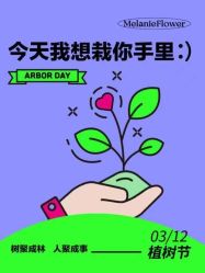 -玛莲朵·海菲秀冰珀科