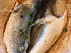 -金杏·粘卷子 烤鸭 农家菜