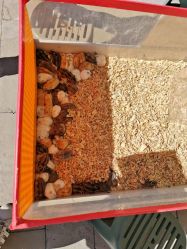 -萌宠亲子动物乐园(槐房万达店)