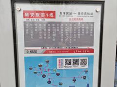-白洋淀景区
