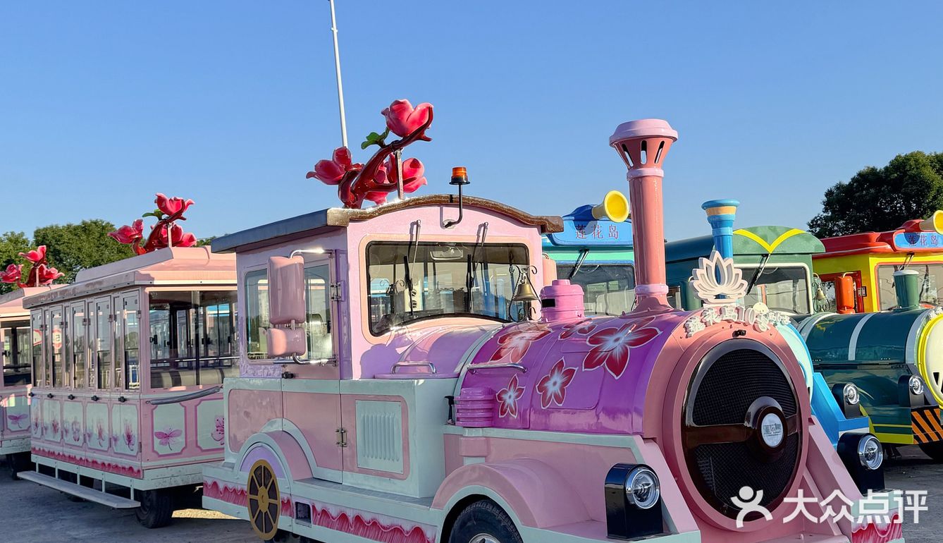 秋天🍂…肯定要来一趟莲花岛吧！