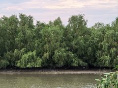 -沙头涌渔栏海鲜餐厅