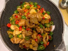 -新蜀会四川豆花(五羊店)