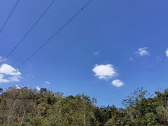 -清溪森林公园