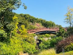-云溪植物园