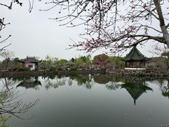 -无锡蠡湖国家湿地公园-蠡园