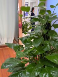 -武汉五洲整形外科医院