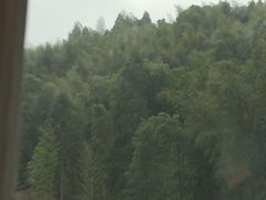 -MOJ coffee(瓯海泽雅水碓坑店)