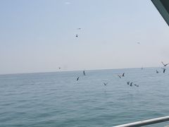 -长岛南北长山旅游景区