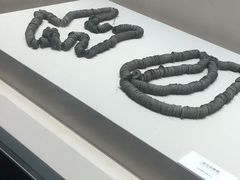-南昌市博物馆