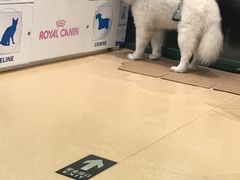 -瑞派·关忠动物医院·猫专科·犬专科(三环新城店)