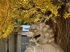 -北京石刻艺术博物馆(五塔寺)