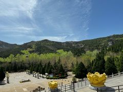 -龙口南山旅游景区