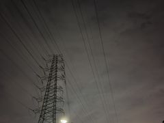 -王借岗森林公园