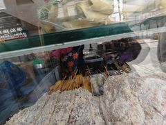 -辽B·小串(总店)