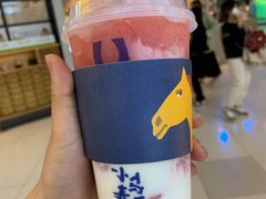 -春丽小马(济南恒隆广场店)