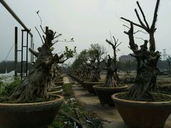 -广州市紫泥堂文化创意园景区