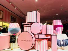 -Victoria's Secret(苏州中心全品类店)