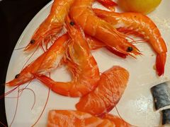 -怡聚轩全日制自助餐厅(大中华喜来登酒店)