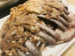 红烧狗排-英子补身汤(海兰路店)