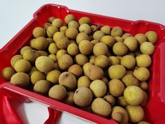 -上海龙吴水胜海发市场