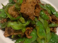 刘阳辣椒炒肉-大鸭梨烤鸭(左家庄店)