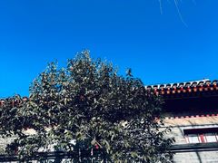 -元大都城垣遗址公园