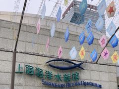 -上海海洋水族馆