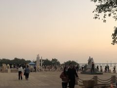 -宝安西湾红树林湿地公园