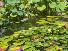 -国家植物园南园