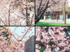 -静安雕塑公园