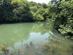 -白马涧龙池景区