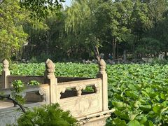 -莲池书院博物馆