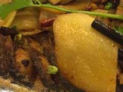-沈姐万州烤鱼(沙坪坝七中店)